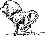 chimera drawing from THE CEREBRAL CODE