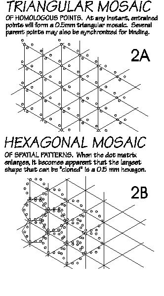triangular, hexagon 
mosaic relations