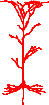 This 'tree' is really a pyramidal neuron of cerebral cortex.  The axon exiting at bottom goes long distances, eventually splitting up into 10,000 small branchlets to make synapses with other brain cells.